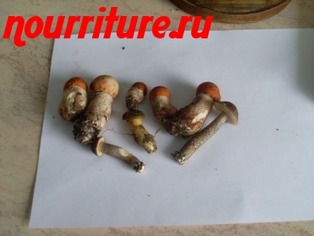 Особенности приготовления натуральных консервированных грибов